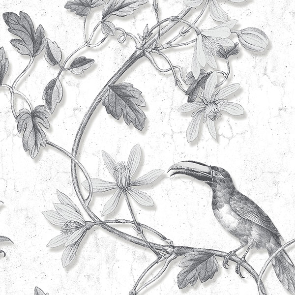 Patton Wallcoverings MH36529 Manor House Toucan Toile Wallpaper